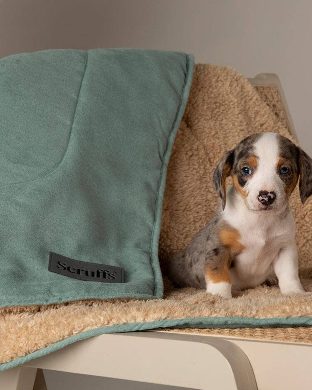 Sage Green coloured Scruffs Snuggle Blanket on house background