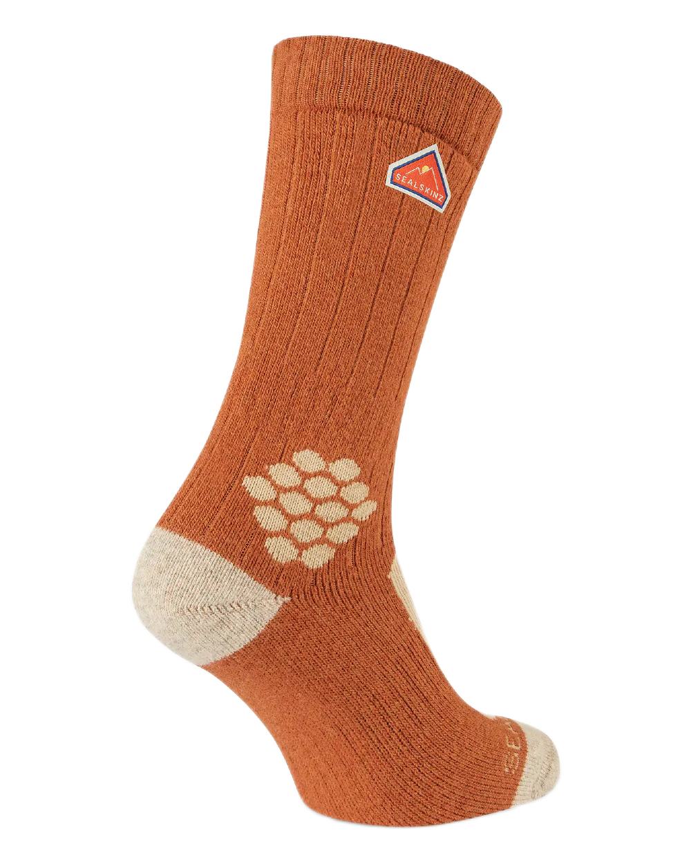 Orange Coloured Sealskinz Scarning Wool Mid Length Twisted Hiking Sock on white background