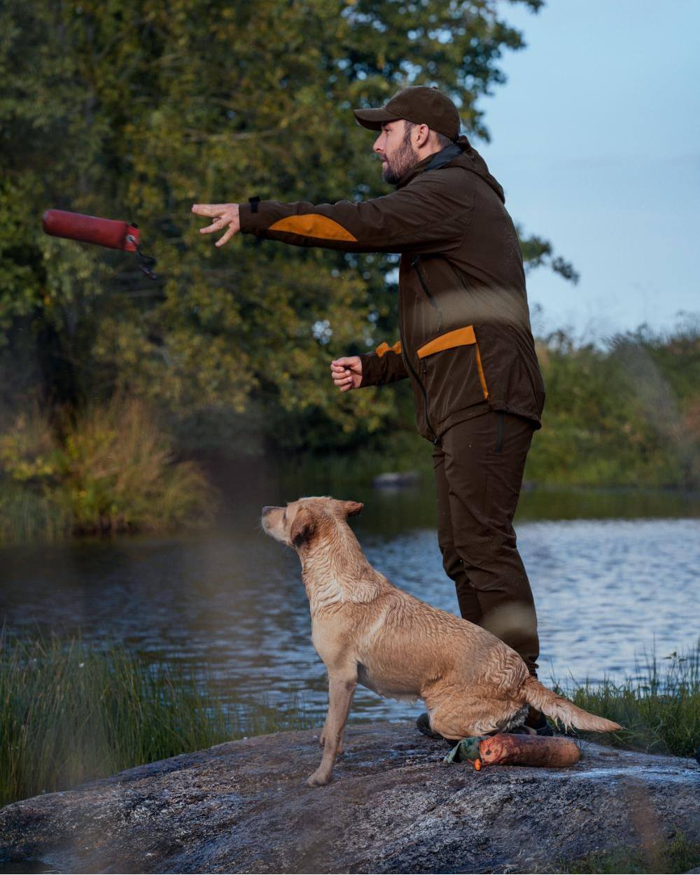 Dark Brown Coloured Seeland Dog Active Jacket On A Forest Background