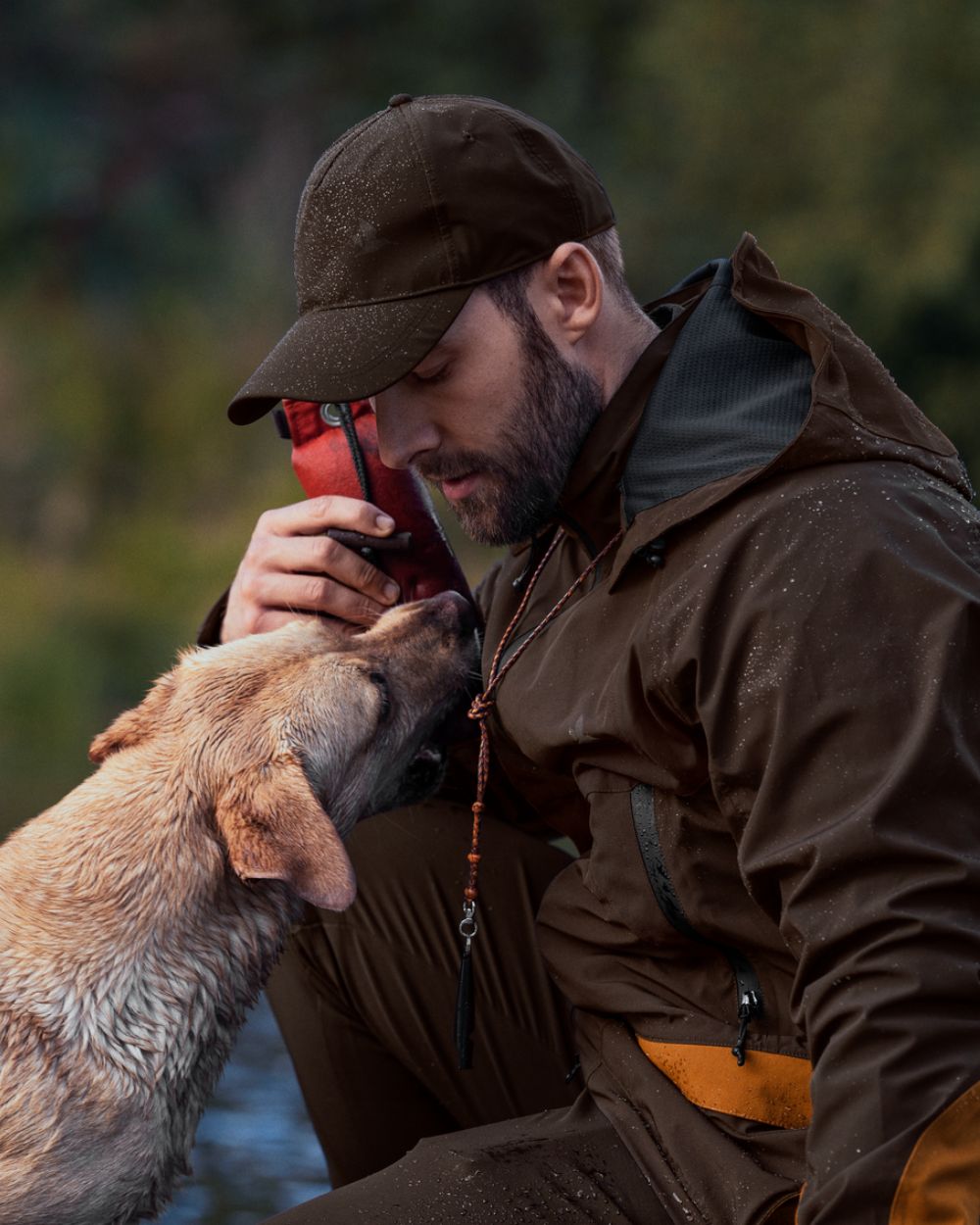 Dark Brown Coloured Seeland Dog Active Jacket On A Forest Background