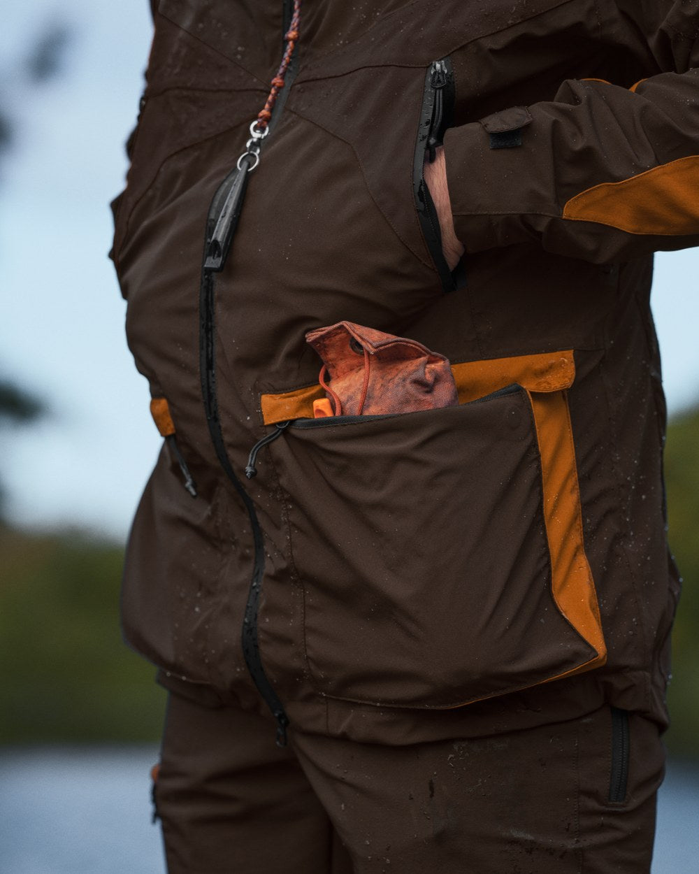 Dark Brown Coloured Seeland Dog Active Jacket On A Forest Background