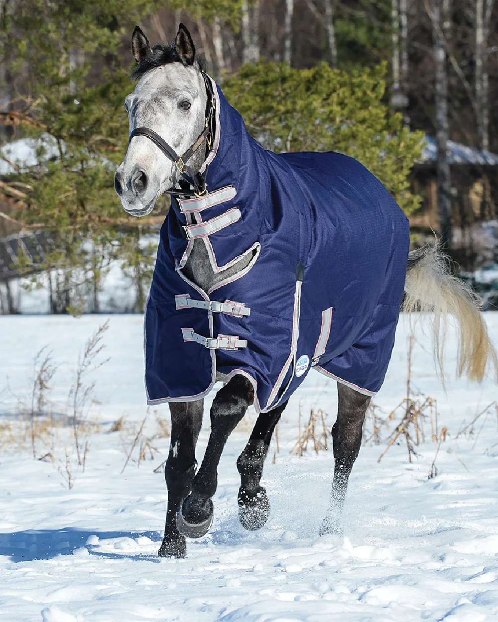 Navy Silver Red coloured WeatherBeeta ComFiTec Essential Combo Neck Heavy on snow background