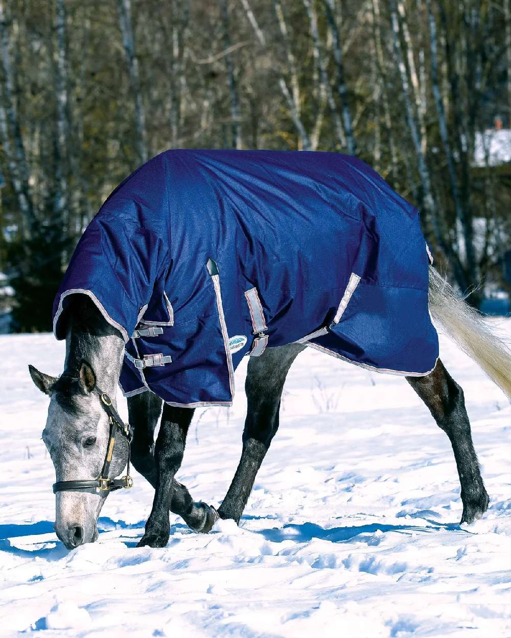 Navy Silver Red coloured WeatherBeeta ComFiTec Essential Combo Neck Heavy on snow background