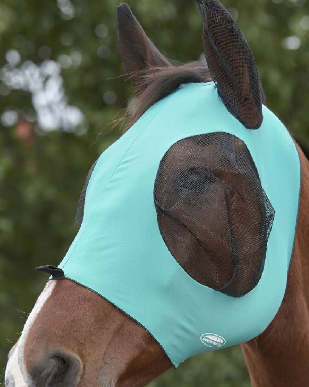 Turquoise Black coloured WeatherBeeta Deluxe Stretch Bug Eye Saver with Ears on blurry background