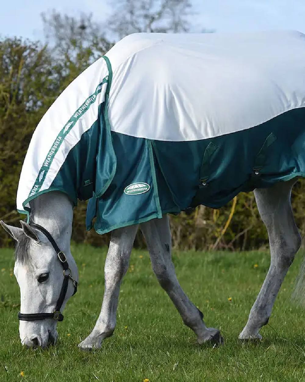 White Dragonfly Blue coloured WeatherBeeta Green-Tec Airflow Mesh Combo Neck on field background