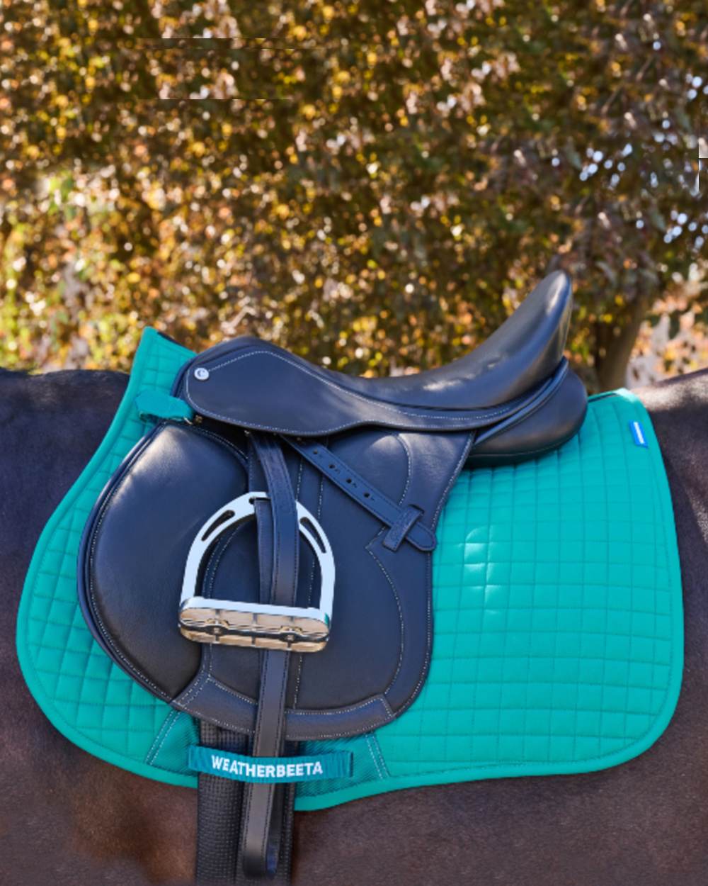 Dark Turquoise Coloured WeatherBeeta Prime Air-Tec All Purpose Saddle Pad on horse background