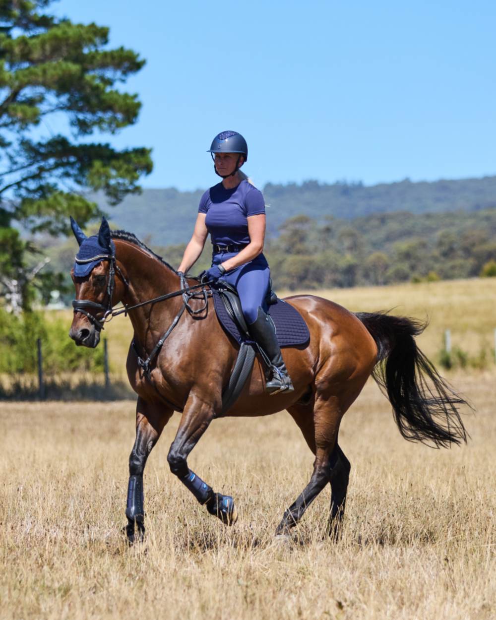 Navy Coloured WeatherBeeta Prime Air-Tec All Purpose Saddle Pad on horse background