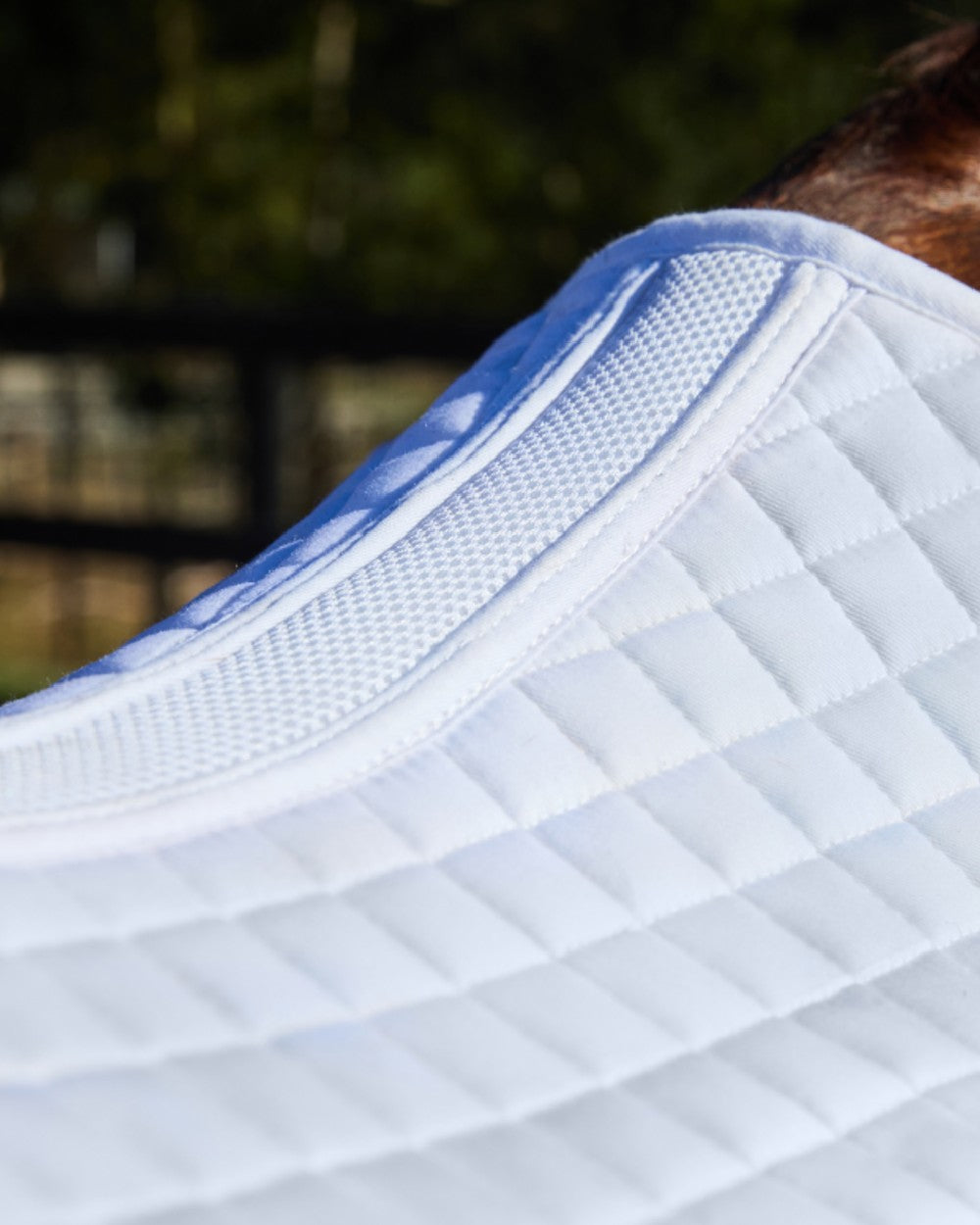 White Coloured WeatherBeeta Prime Air-Tec Dressage Saddle Pad on horse background
