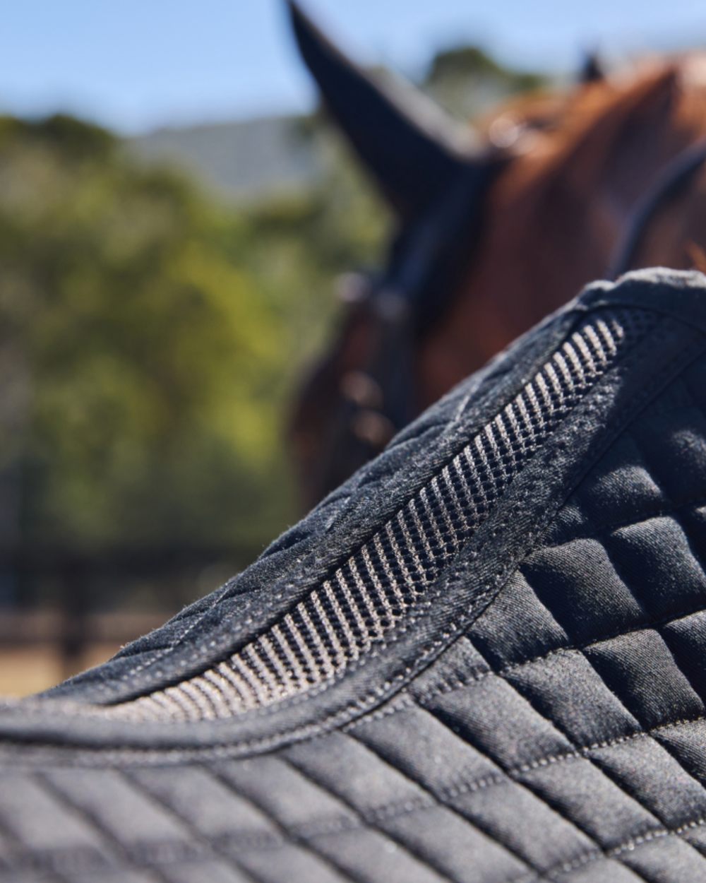 Black Coloured WeatherBeeta Prime Air-Tec Jump Shaped Saddle Pad on horse background