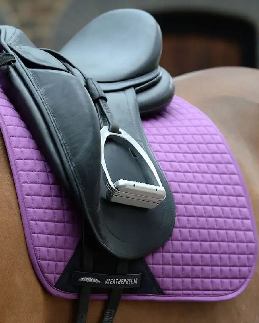 Violet coloured WeatherBeeta Prime Dressage Saddle Pad on blurry background
