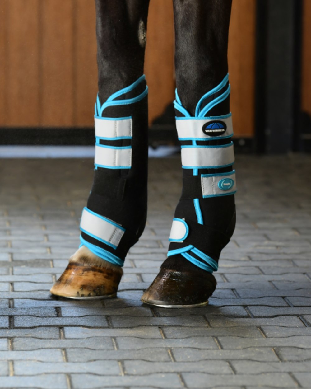 Black Blue Coloured WeatherBeeta Therapy-Tec Stable Boot Wraps on horse background