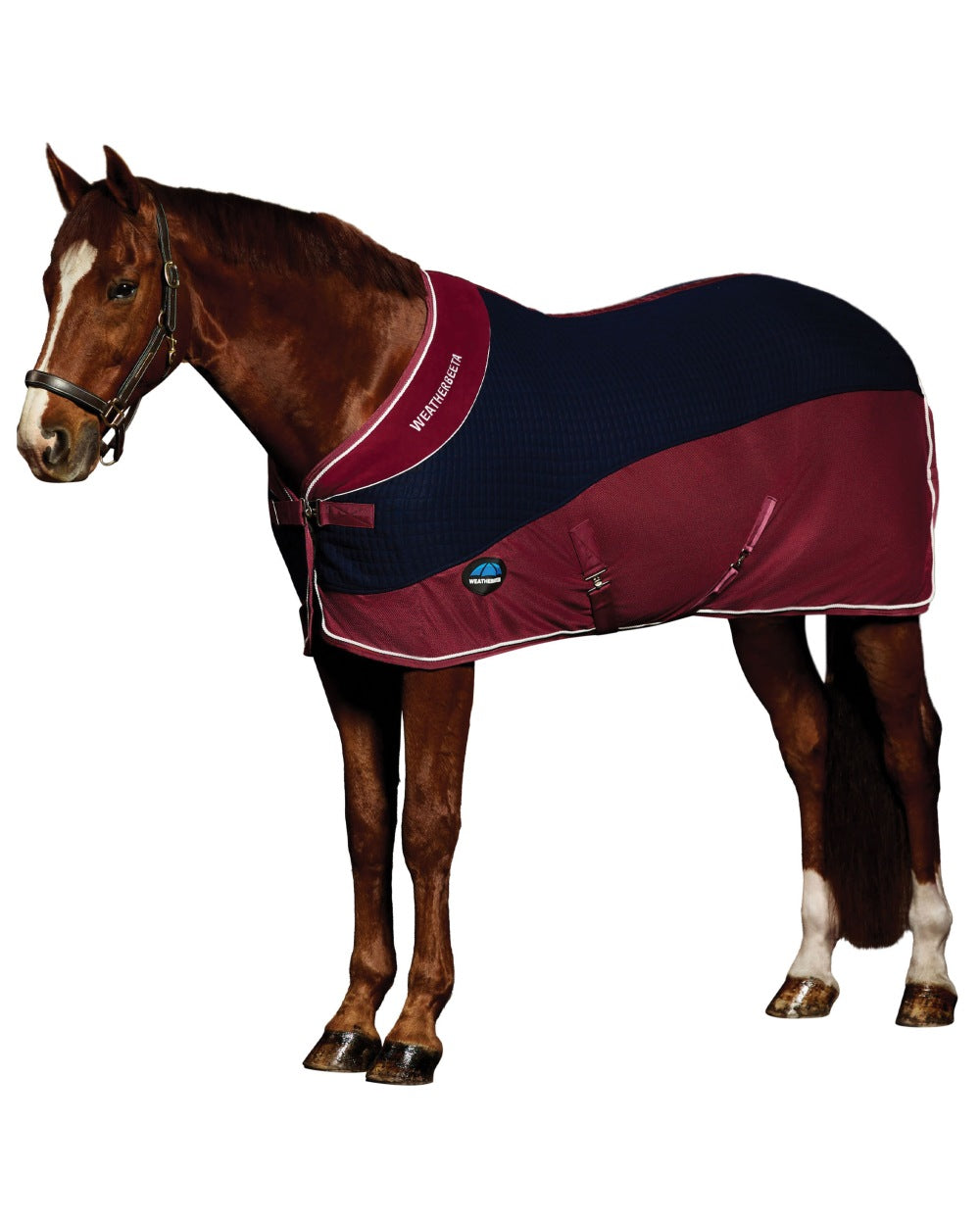 Navy Burgundy coloured WeatherBeeta Thermo-Air Cooler Standard Neck on white background