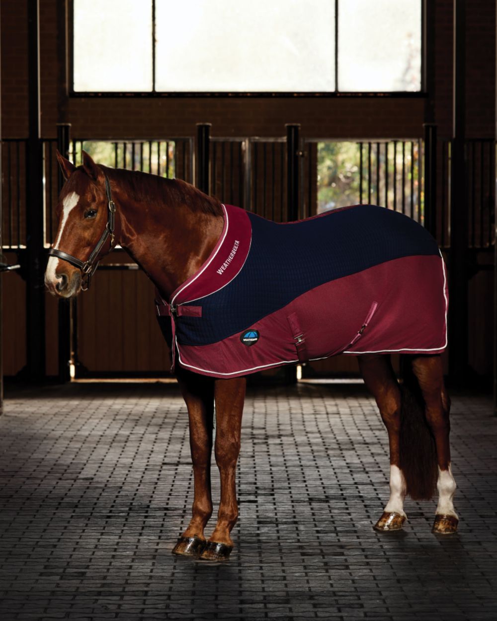 Navy Burgundy coloured WeatherBeeta Thermo-Air Cooler Standard Neck on outdoor background