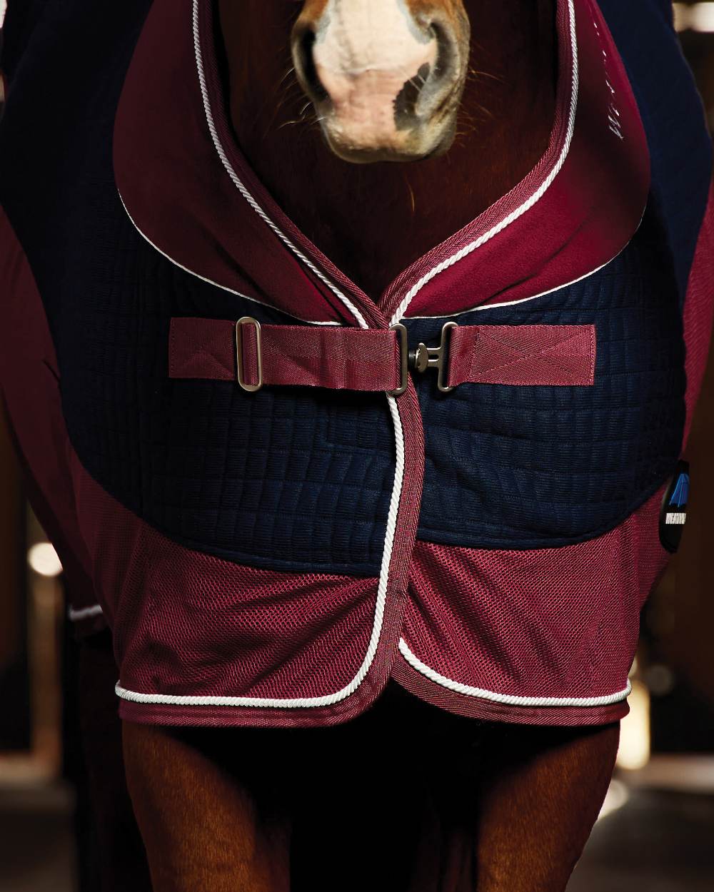 Navy Burgundy coloured WeatherBeeta Thermo-Air Cooler Standard Neck on outdoor background