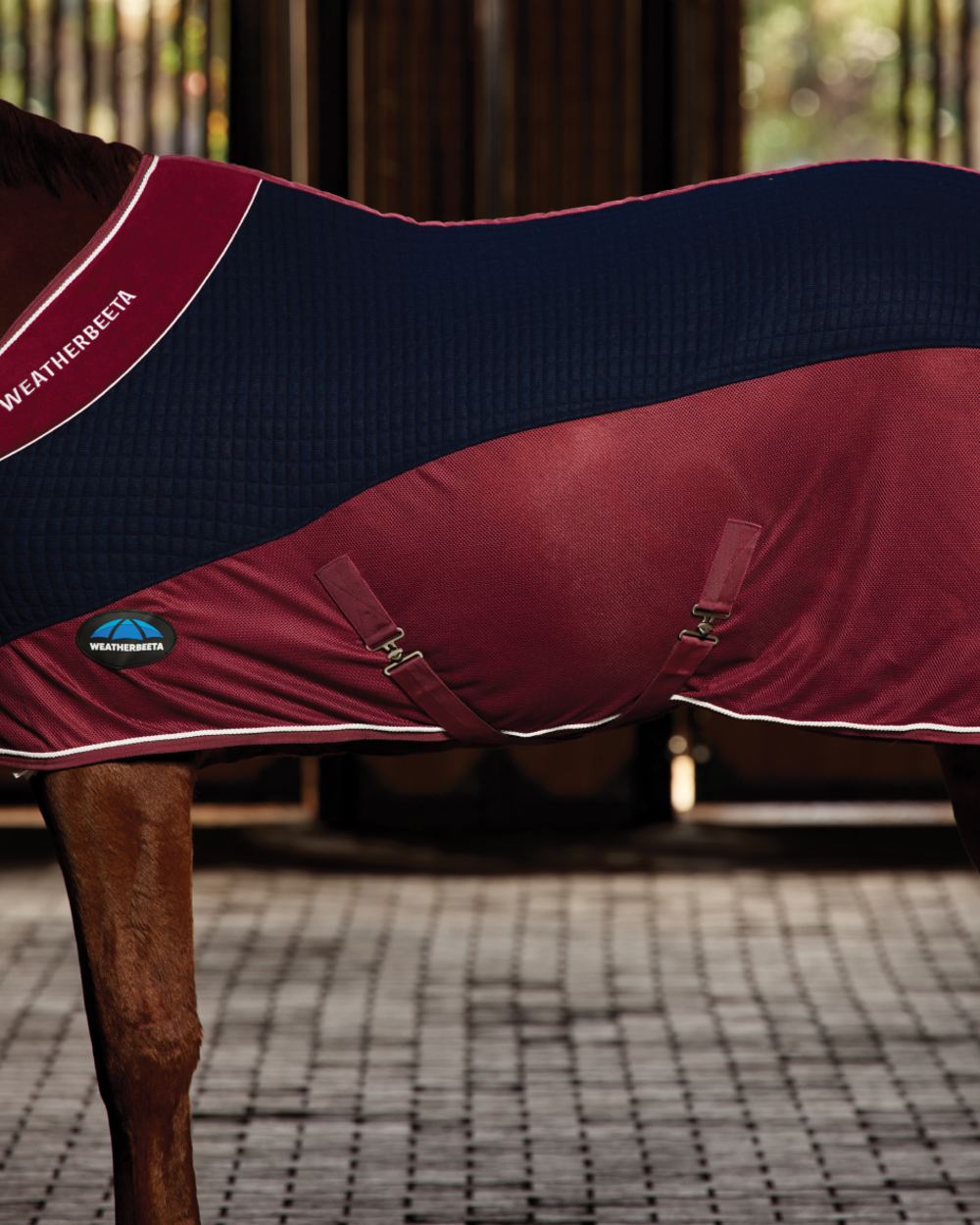 Navy Burgundy coloured WeatherBeeta Thermo-Air Cooler Standard Neck on outdoor background