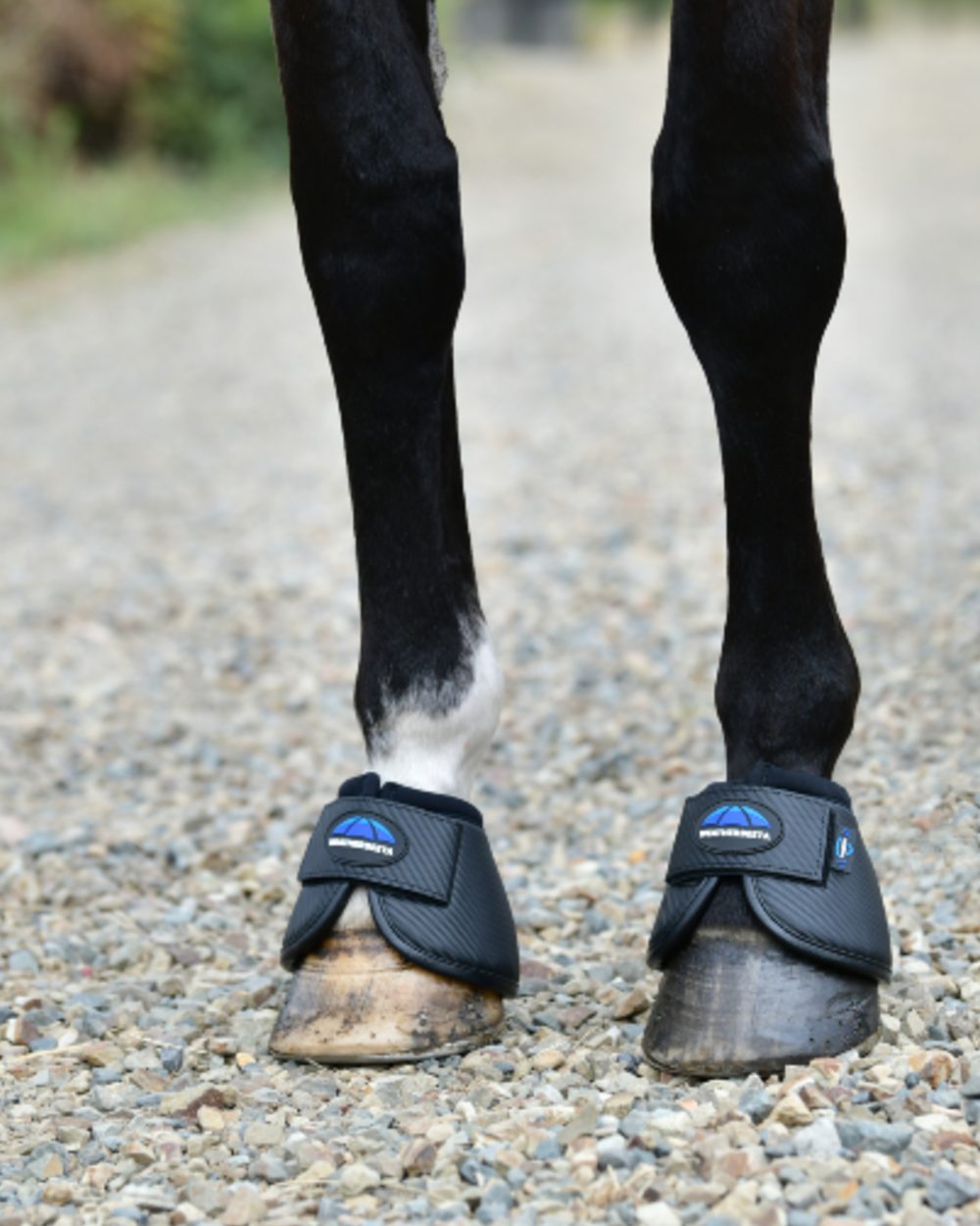 Black Coloured WeatherBeeta Tough-Tec Anatomical Bell Boots on horse background