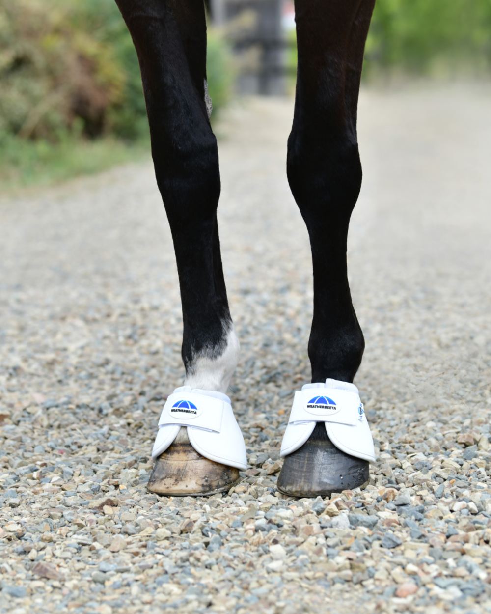 White Coloured WeatherBeeta Tough-Tec Anatomical Bell Boots on horse background