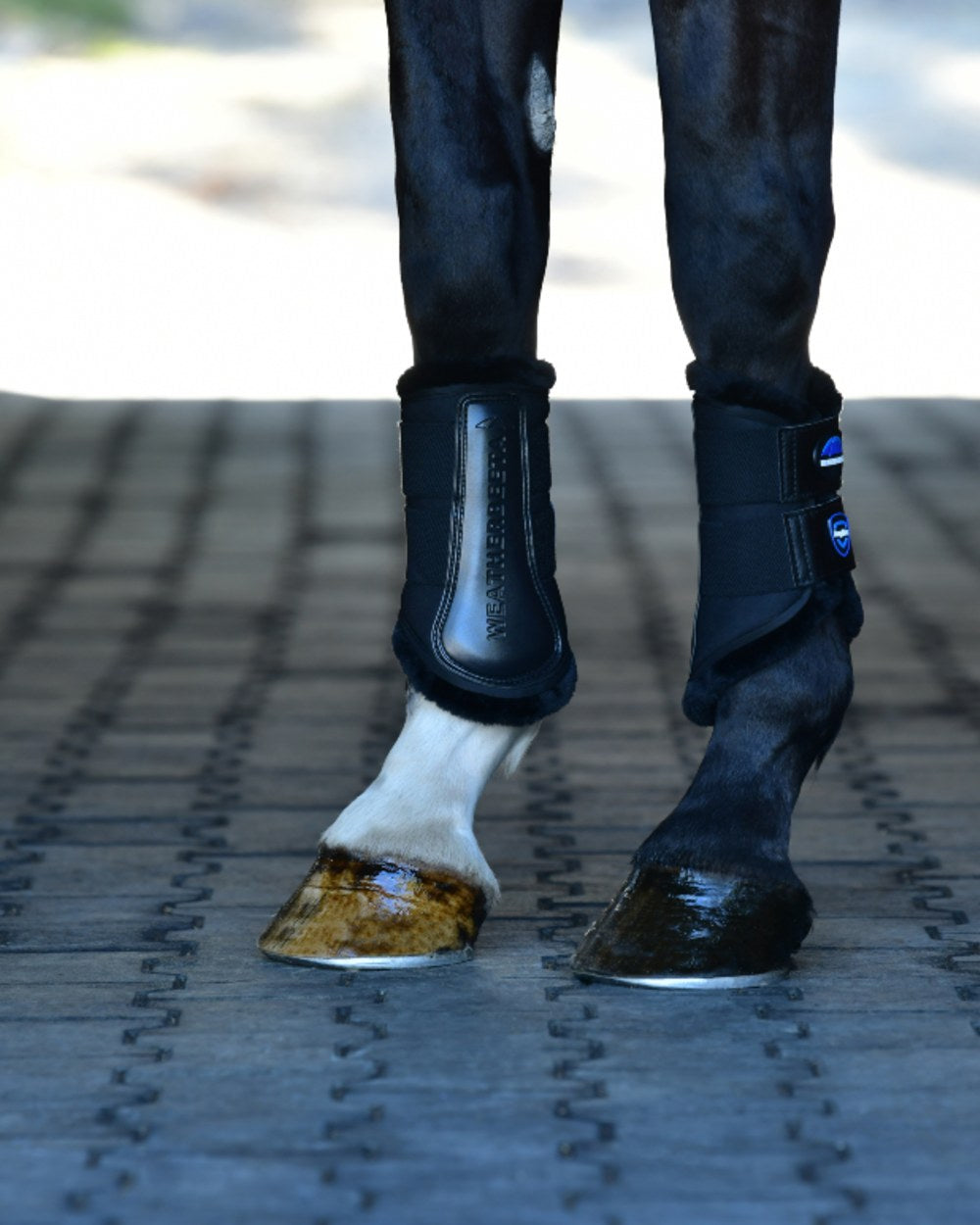 Black Coloured WeatherBeeta Tough-Tec Comfy Fleece Brushing Boots on horse background
