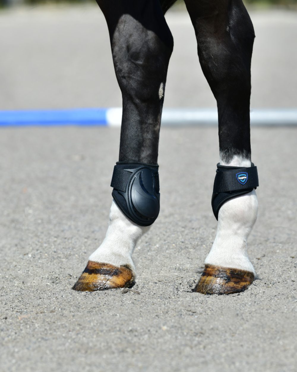 Black Coloured WeatherBeeta Tough-Tec Essential Fetlock Boots on horse background