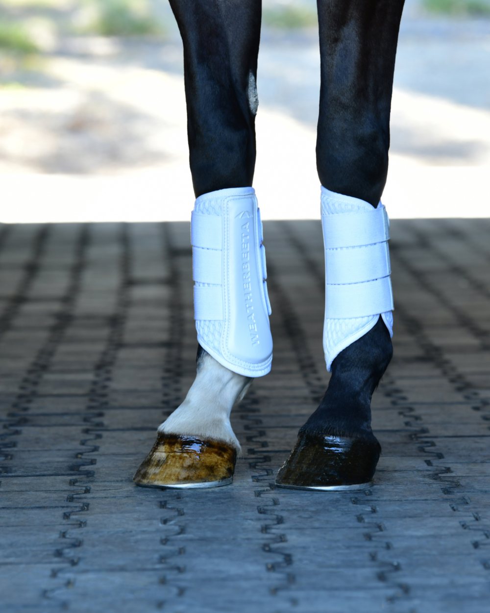 White Coloured WeatherBeeta Tough-Tec Mesh Brushing Boots on horse background
