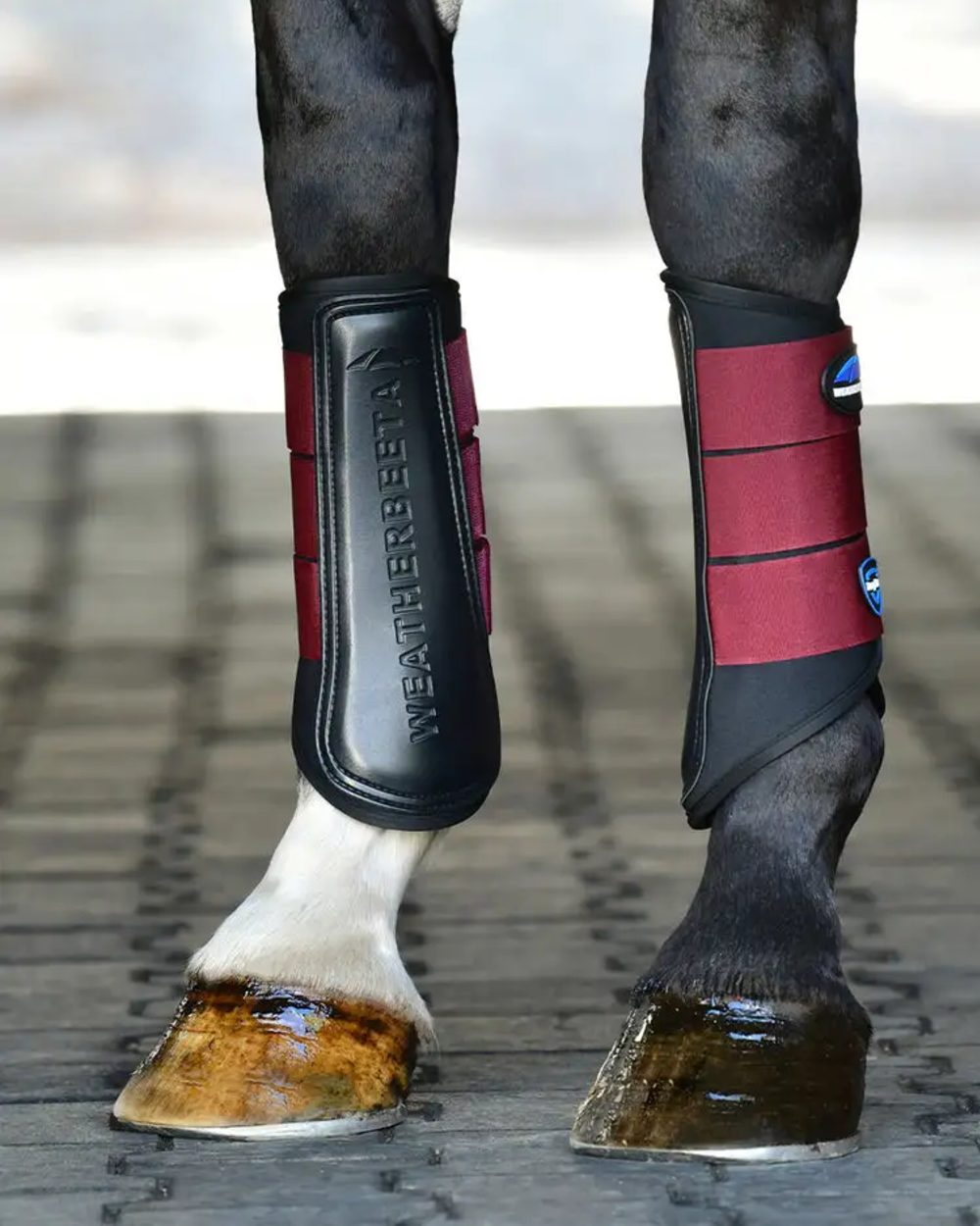 Black Burgundy Coloured WeatherBeeta Tough-Tec Prime Brushing Boots on horse background