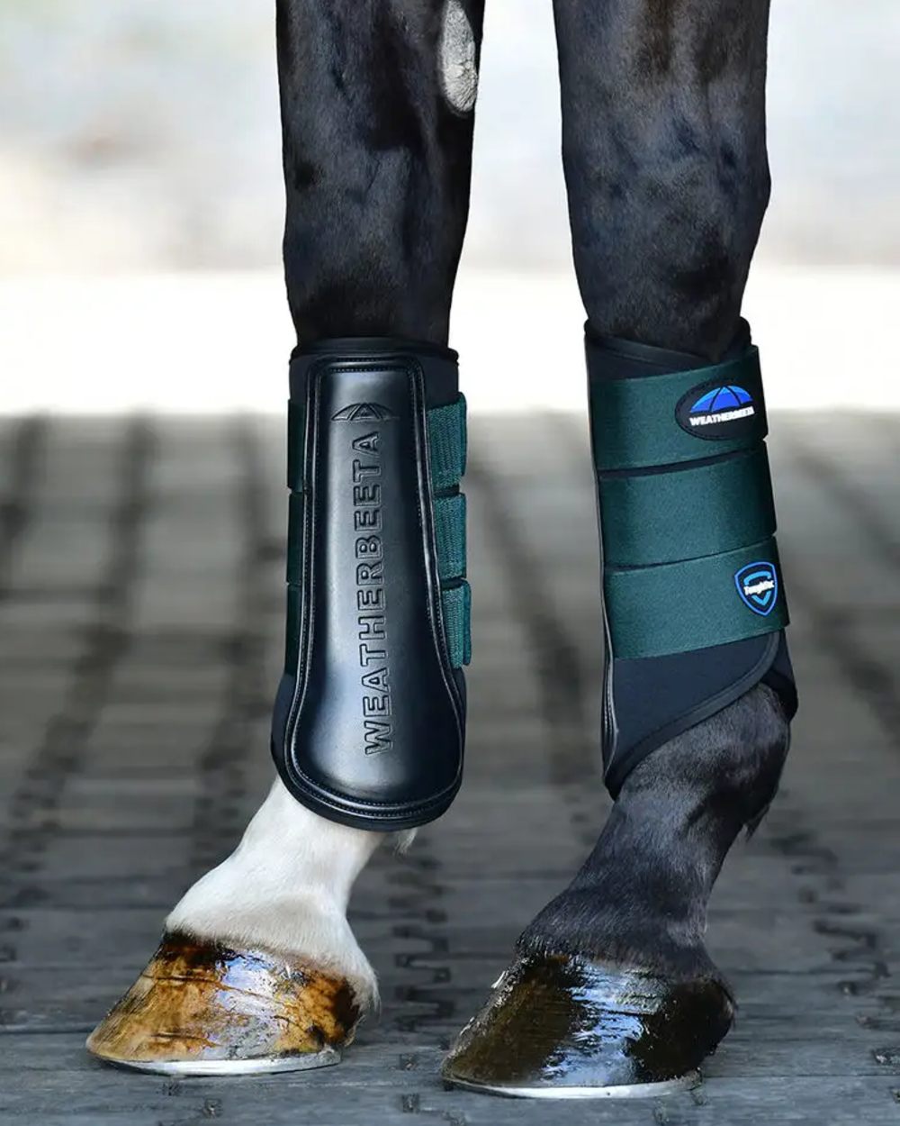 Black Forest Green Coloured WeatherBeeta Tough-Tec Prime Brushing Boots on horse background
