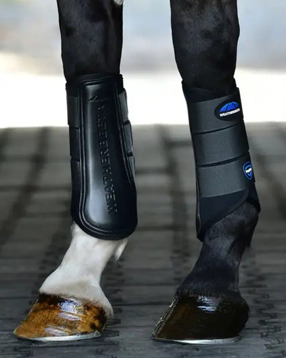 Black Grey Coloured WeatherBeeta Tough-Tec Prime Brushing Boots on horse background