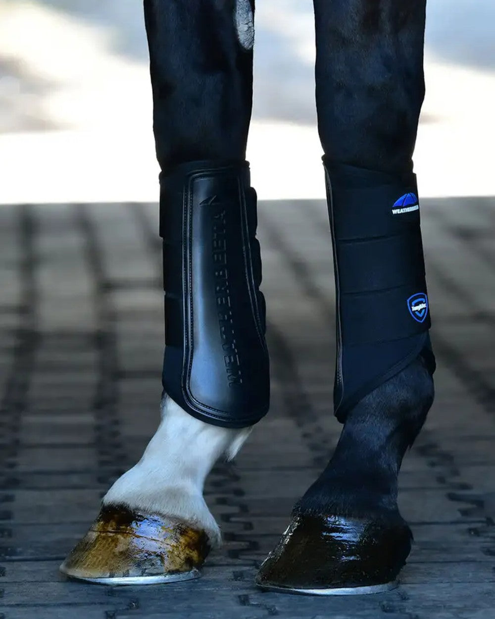 Black Coloured WeatherBeeta Tough-Tec Prime Brushing Boots on horse background