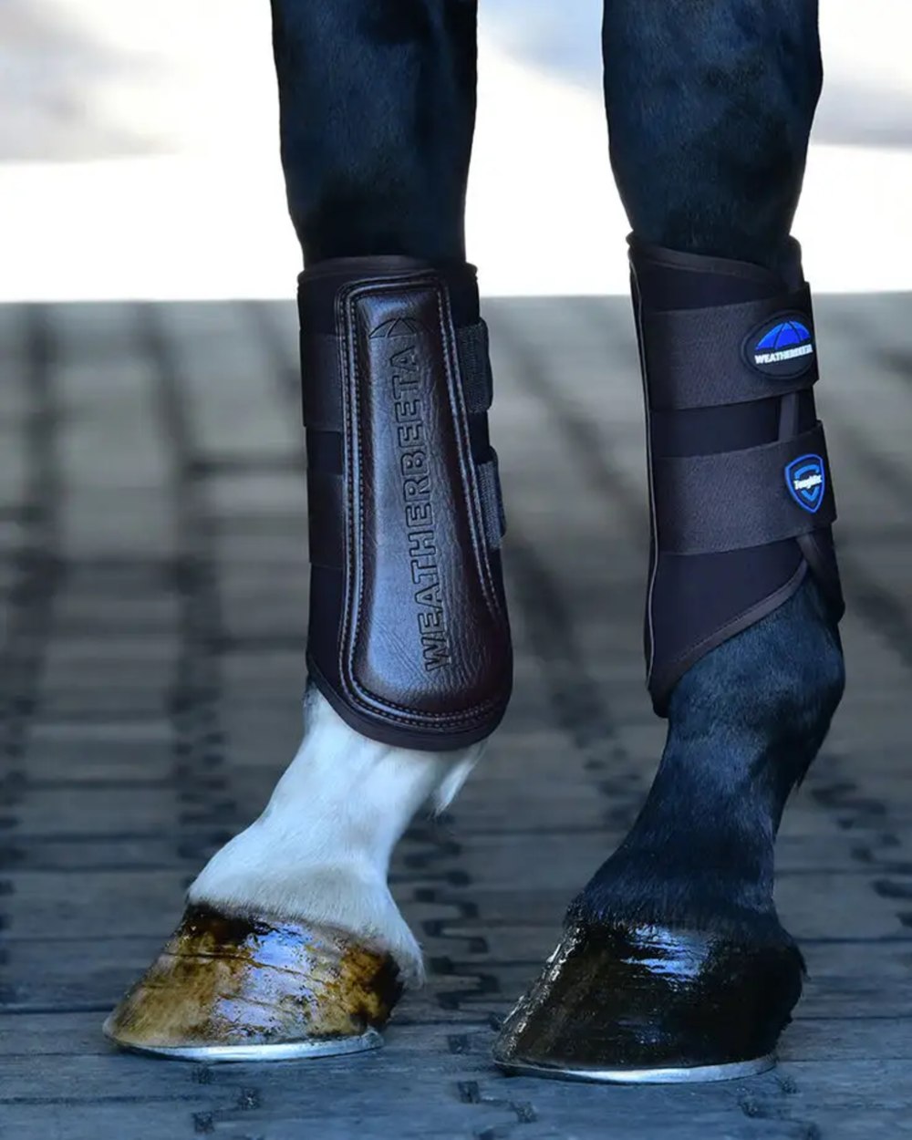 Brown Coloured WeatherBeeta Tough-Tec Prime Brushing Boots on horse background