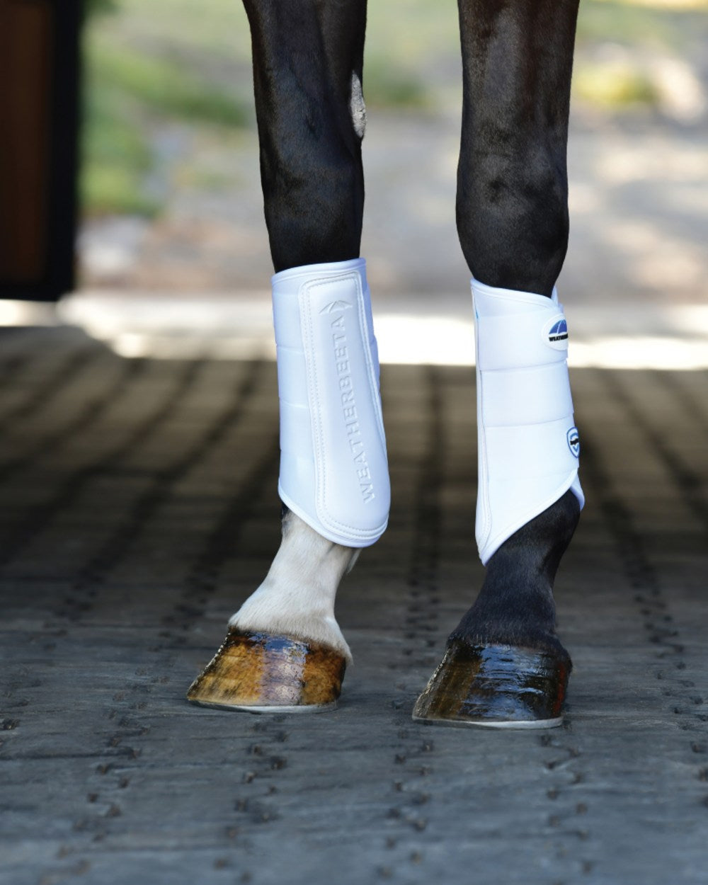 White Coloured WeatherBeeta Tough-Tec Prime Brushing Boots on horse background