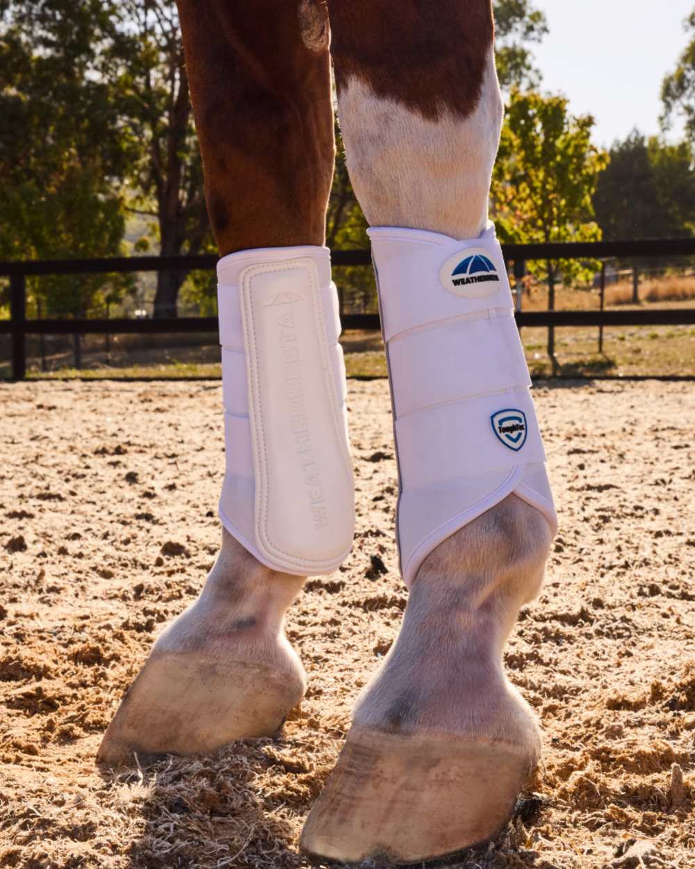 White Coloured WeatherBeeta Tough-Tec Prime Brushing Boots on horse background