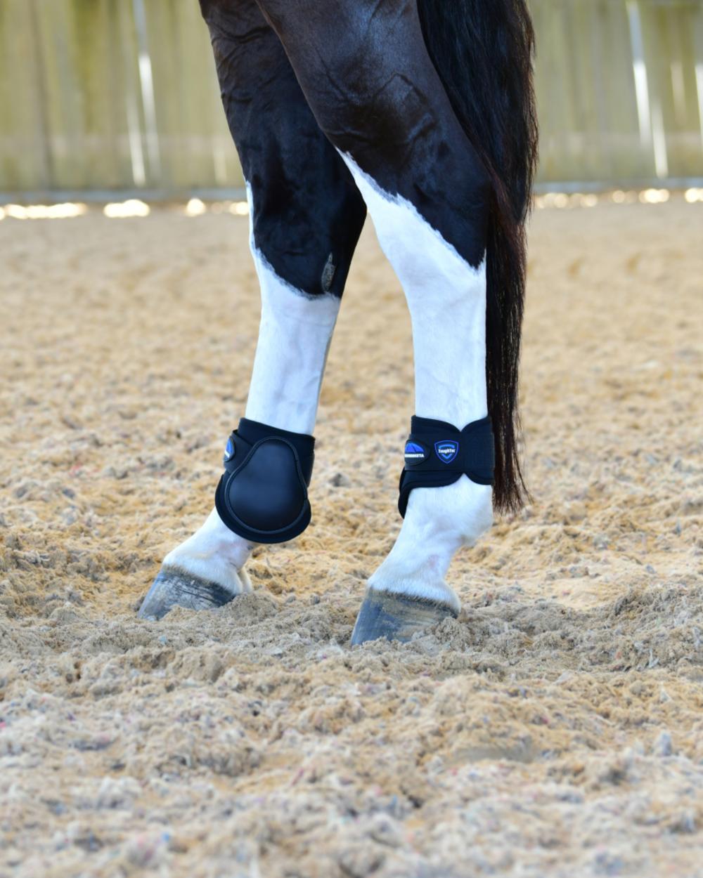 Black Coloured WeatherBeeta Tough-Tec Prime Fetlock Boots on horse background