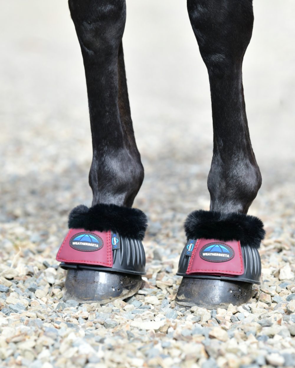 Black Burgundy Coloured WeatherBeeta Tough-Tec Prime Fleece Trim Rubber Bell Boots on horse background