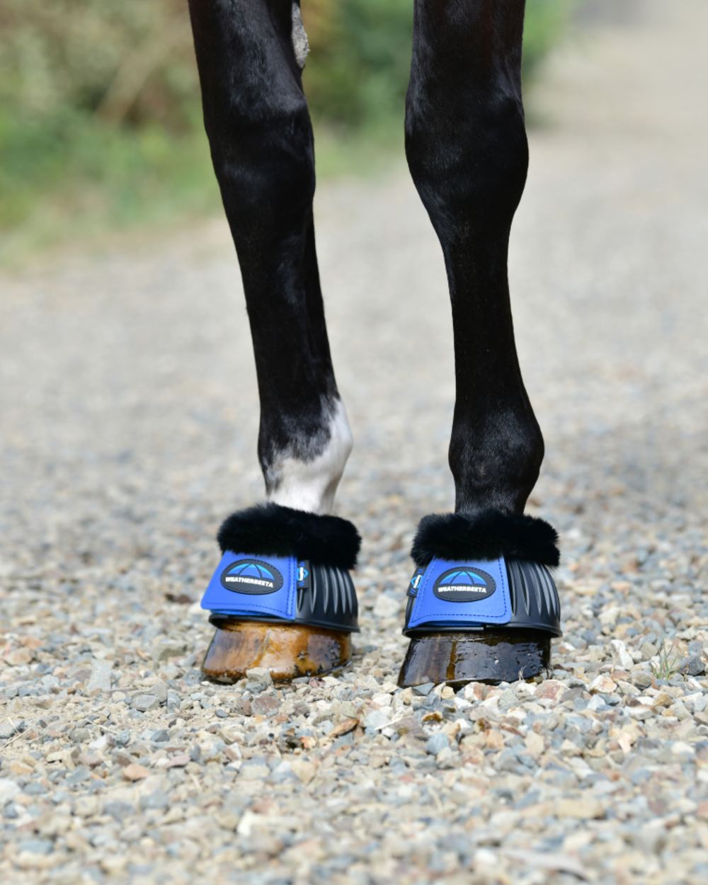 Black Cobalt Coloured WeatherBeeta Tough-Tec Prime Fleece Trim Rubber Bell Boots on horse background