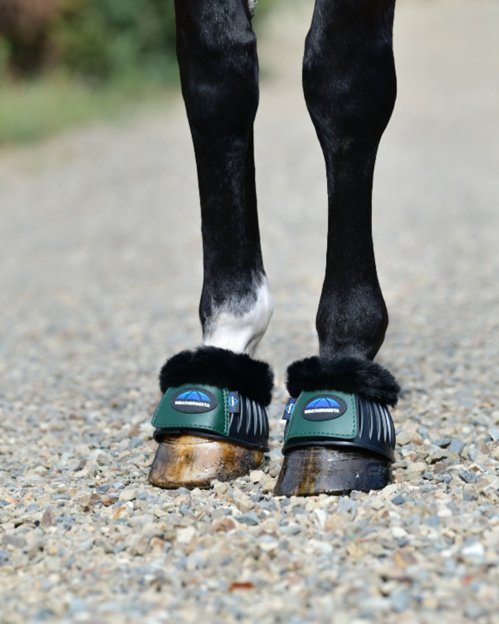 Black Forest Green Coloured WeatherBeeta Tough-Tec Prime Fleece Trim Rubber Bell Boots on horse background