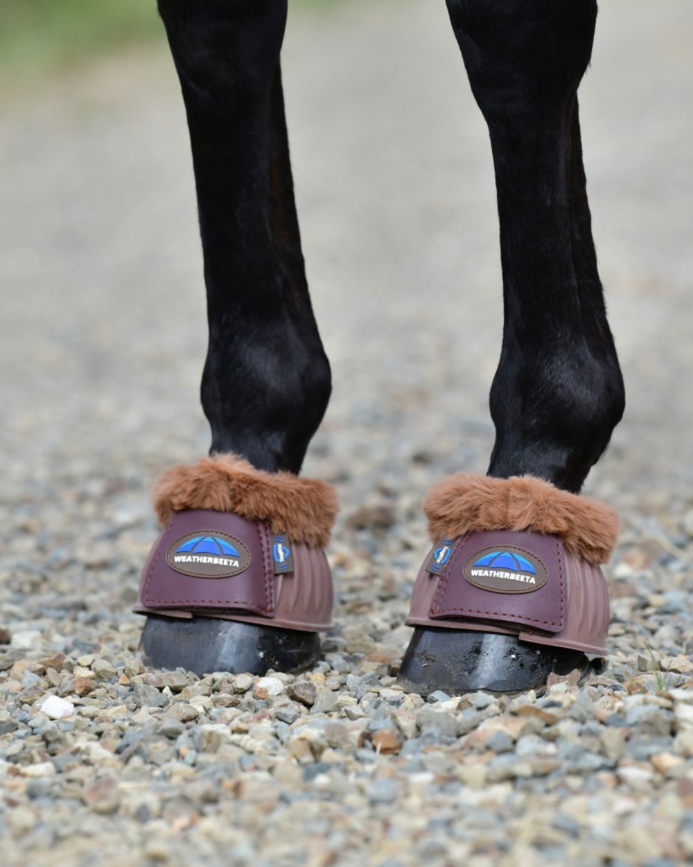 Brown Coloured WeatherBeeta Tough-Tec Prime Fleece Trim Rubber Bell Boots on horse background