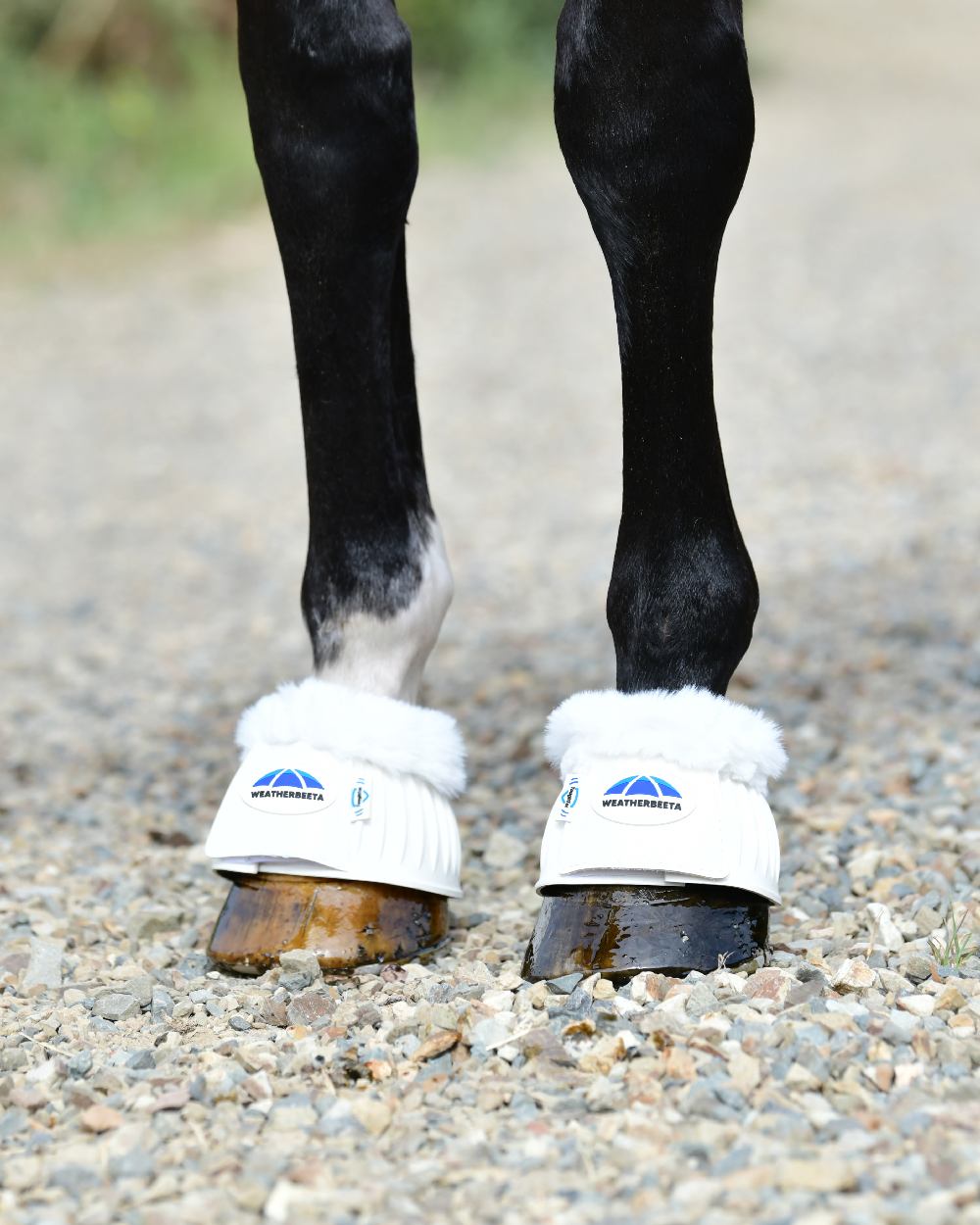 White Coloured WeatherBeeta Tough-Tec Prime Fleece Trim Rubber Bell Boots on horse background