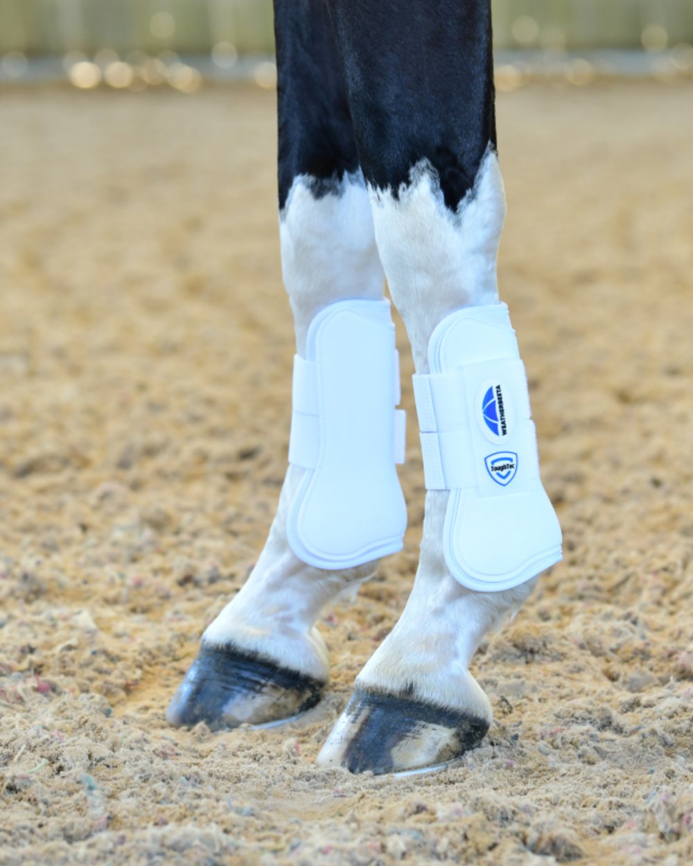 White Coloured WeatherBeeta Tough-Tec Prime Open Front Boots on horse background