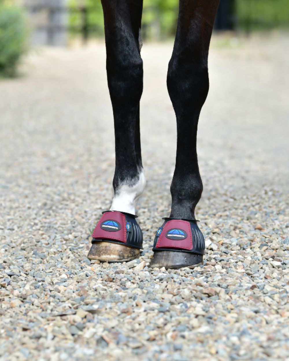 Black Burgundy Coloured WeatherBeeta Tough-Tec Prime Rubber Bell Boots on horse background