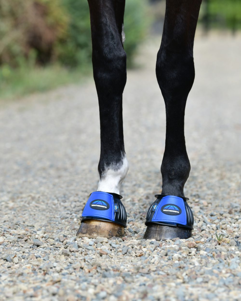 Black Cobalt Coloured WeatherBeeta Tough-Tec Prime Rubber Bell Boots on horse background