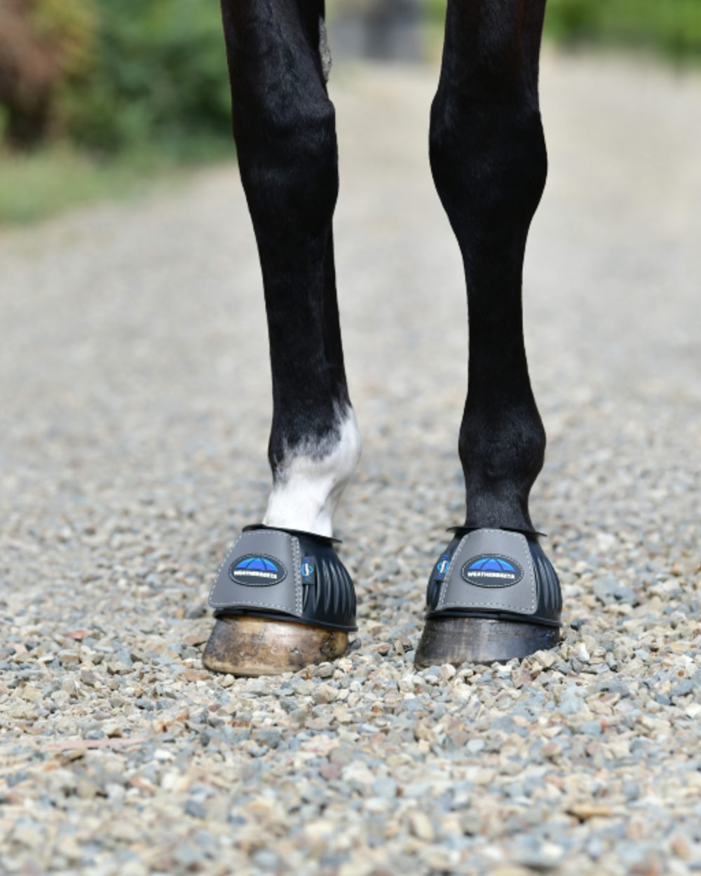 Black Grey Coloured WeatherBeeta Tough-Tec Prime Rubber Bell Boots on horse background