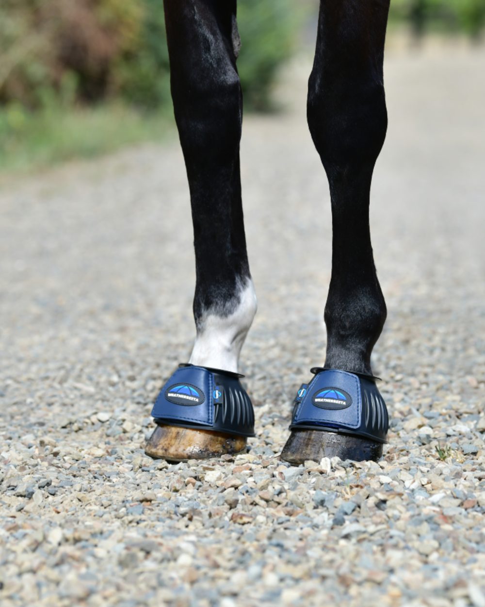 Black Navy Coloured WeatherBeeta Tough-Tec Prime Rubber Bell Boots on horse background