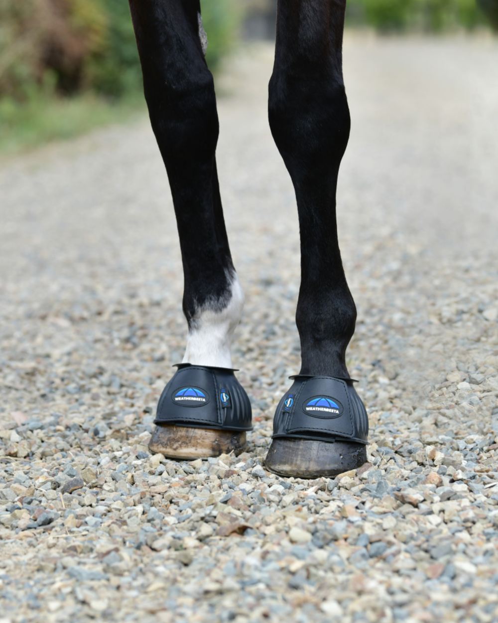 Black Coloured WeatherBeeta Tough-Tec Prime Rubber Bell Boots on horse background