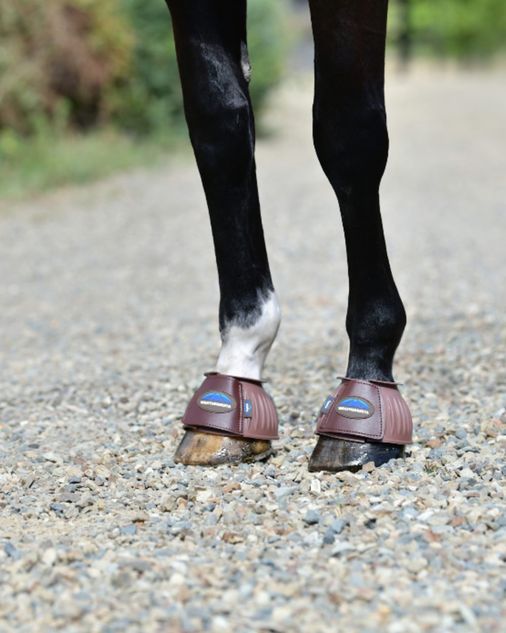 Brown Coloured WeatherBeeta Tough-Tec Prime Rubber Bell Boots on horse background