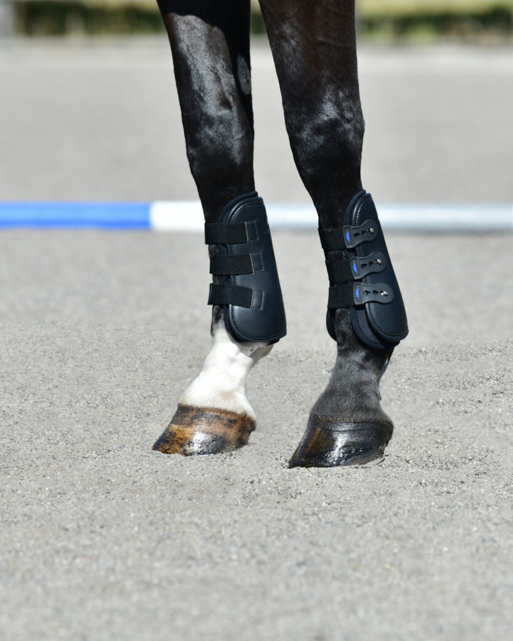Black Coloured WeatherBeeta Tough-Tec Pro Open Front Boots on horse background