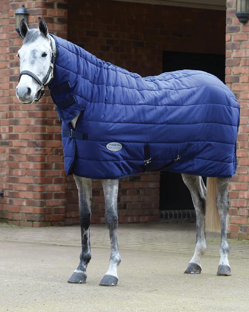 Navy coloured WeatherBeeta Under Rug Combo Neck Medium on brick wall background