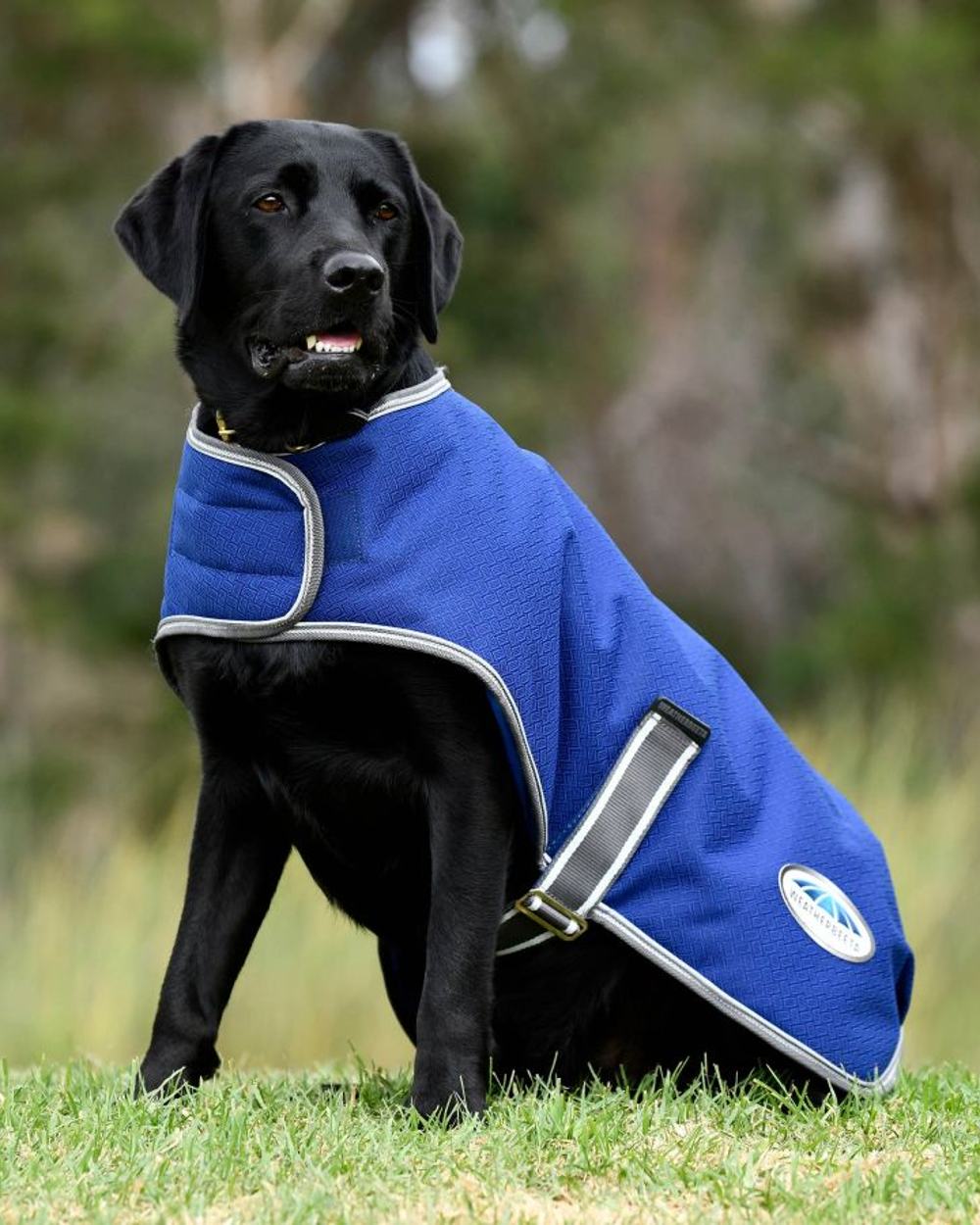 WeatherBeeta ComFiTec Premier Free Parka Dog Coat in Blue/Grey/White