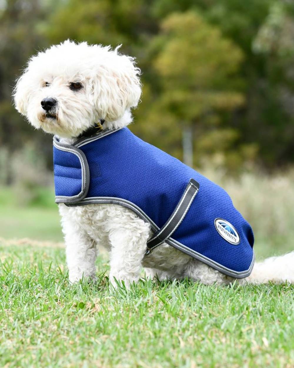 WeatherBeeta ComFiTec Premier Free Parka Dog Coat in Blue/Grey/White 