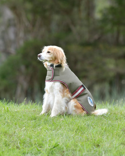 WeatherBeeta ComFiTec Premier Free Parka Dog Coat in Green/Burgundy/White 
