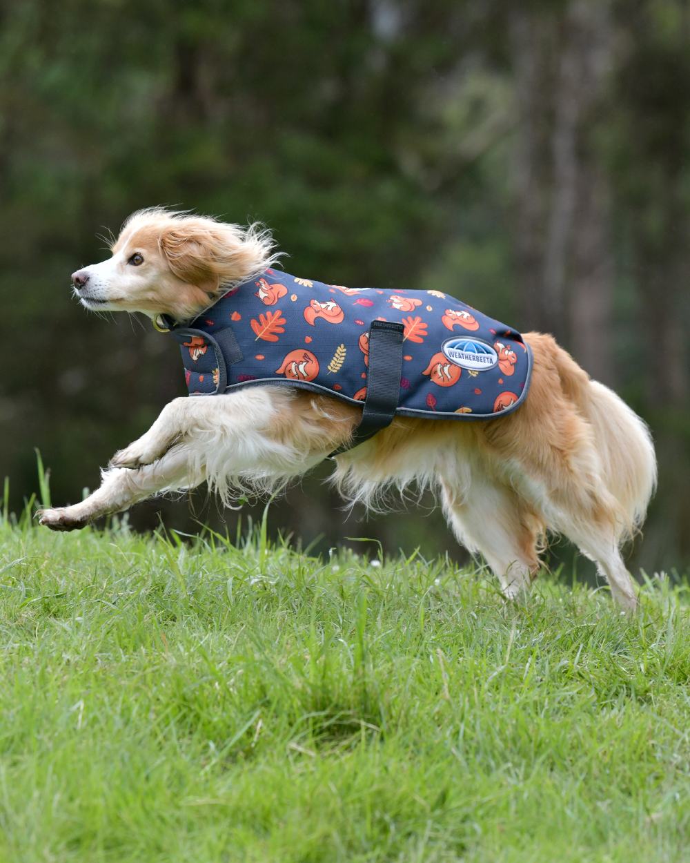 WeatherBeeta ComFiTec Premier Free Parka Dog Coat in Squirrel Print 